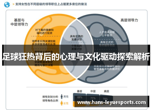 足球狂热背后的心理与文化驱动探索解析