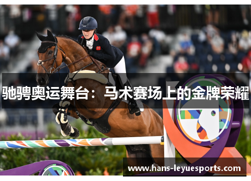 驰骋奥运舞台：马术赛场上的金牌荣耀