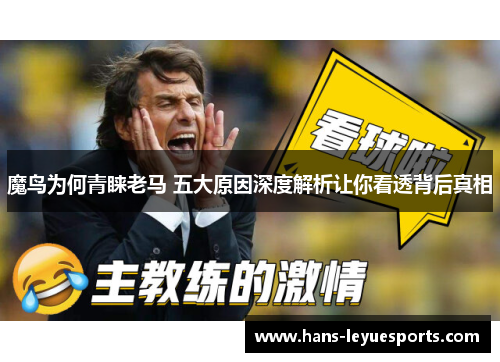 魔鸟为何青睐老马 五大原因深度解析让你看透背后真相