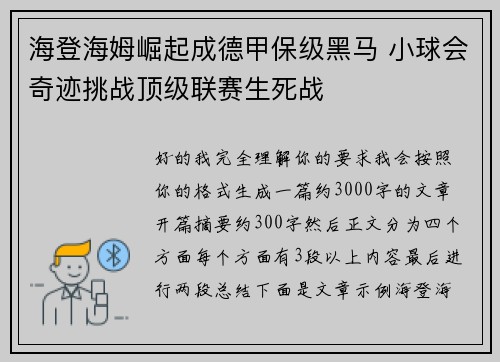 海登海姆崛起成德甲保级黑马 小球会奇迹挑战顶级联赛生死战