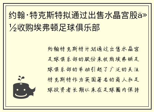 约翰·特克斯特拟通过出售水晶宫股份收购埃弗顿足球俱乐部